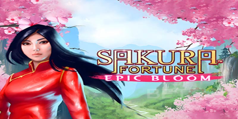 Unlock the Secrets of Sakura Fortune – Big Wins Await!